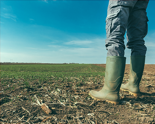 Lower Agricultural Yields